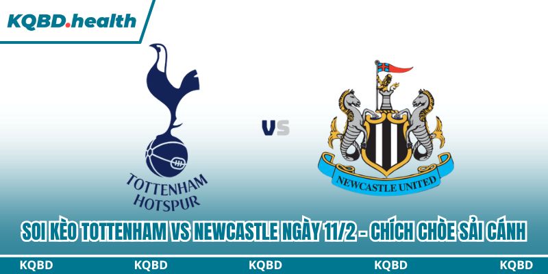 Dự đoán Tottenham Vs Newcastle Ngày 11/2 - Chích Chòe Sải Cánh 4 Soi kèo Tottenham vs Newcastle