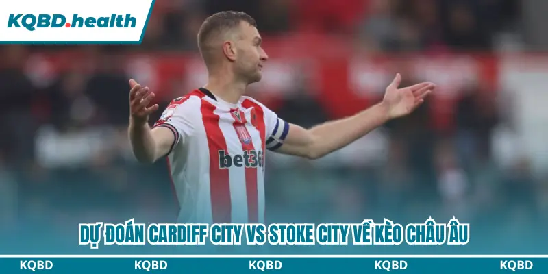 Dự đoán Cardiff City vs Stoke City kèo châu Âu